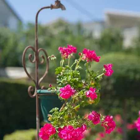 Marija&mile Apartman