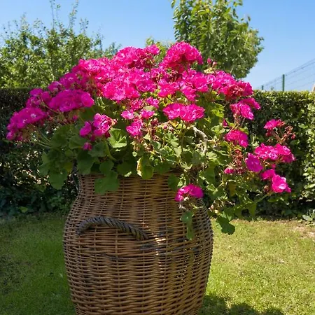 Marija&mile Apartman *