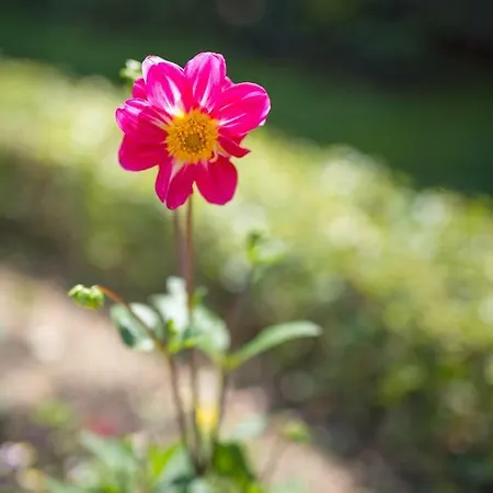 Marija&mile * スプリト